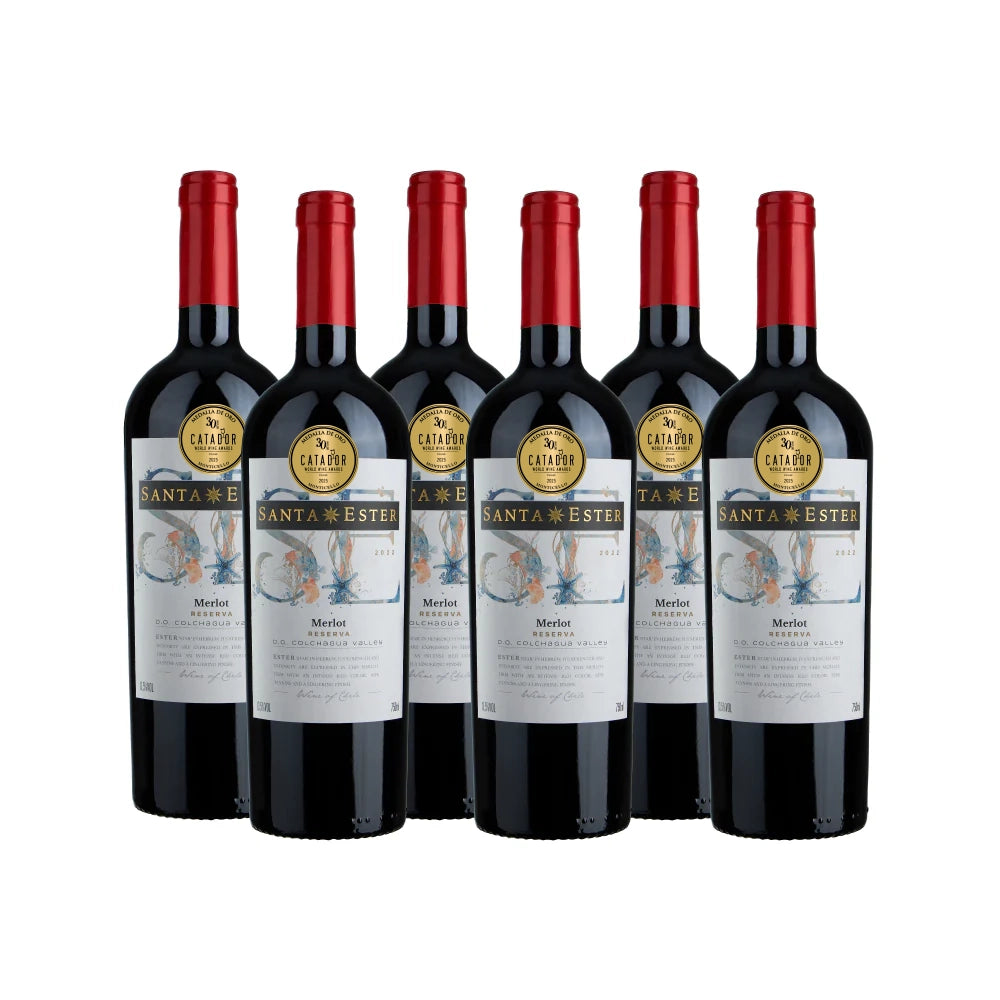 Merlot Santa Ester 6 Unidades