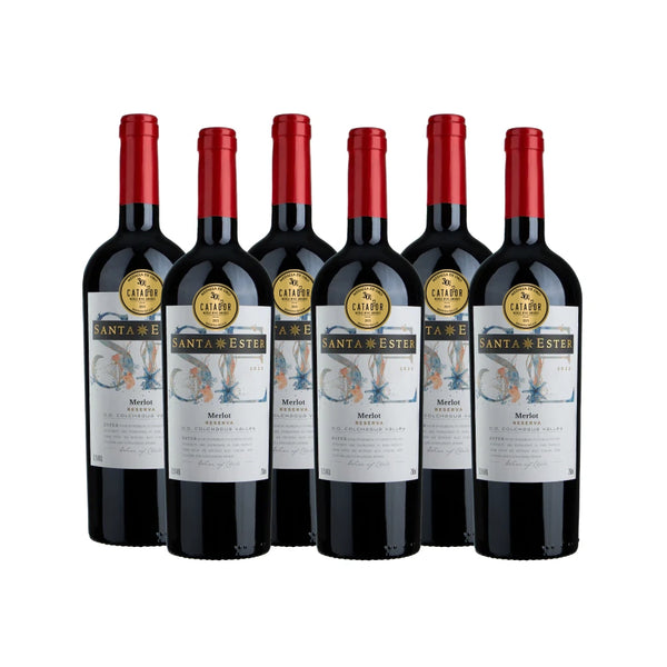 Merlot Santa Ester 6 Unidades