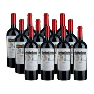 Merlot Santa Ester 12 Unidades