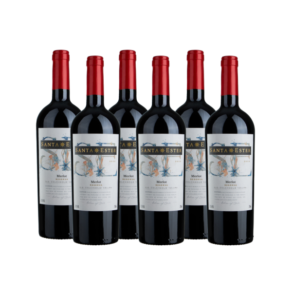 Merlot Santa Ester 6 Unidades